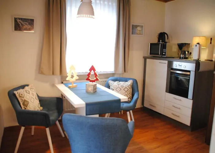 Haus Else Apartament Willingen (Upland)